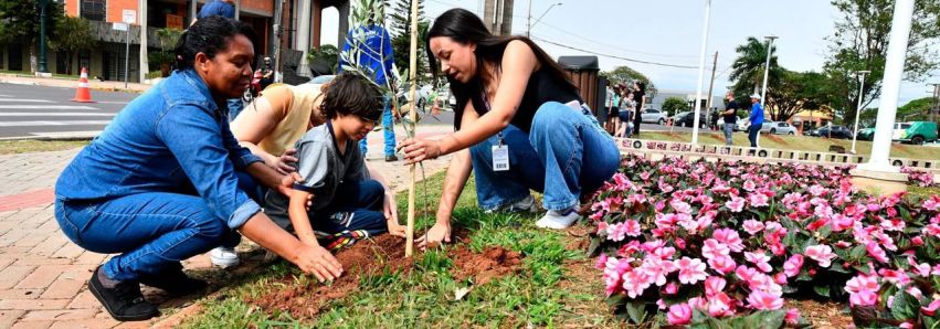 ECOLOGIA: PREFEITURA RELANÇA O PROJETO MAIS SOMBRA