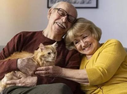 Gatos e cães são companheiros preciosos e fazem bem à saúde dos idosos