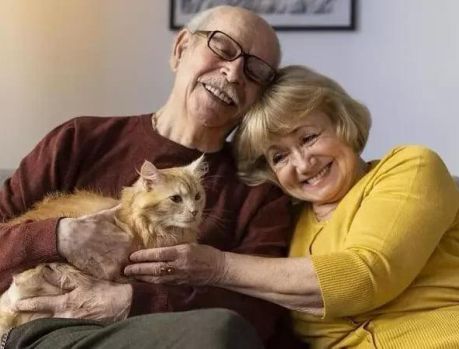 Gatos e cães são companheiros preciosos e fazem bem à saúde dos idosos