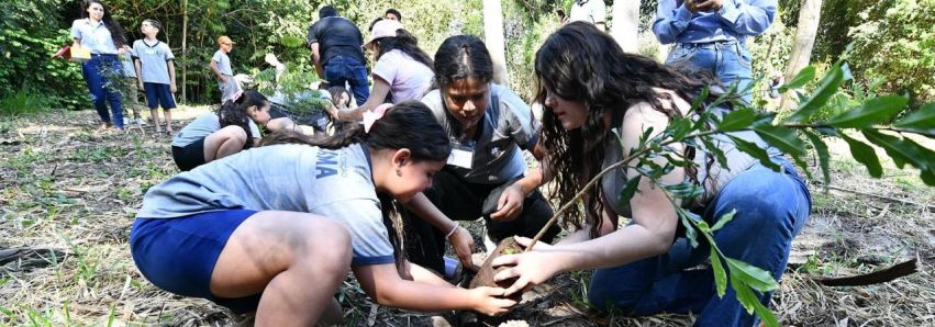 Para cada criança nascida, Umuarama plantará uma árvore!