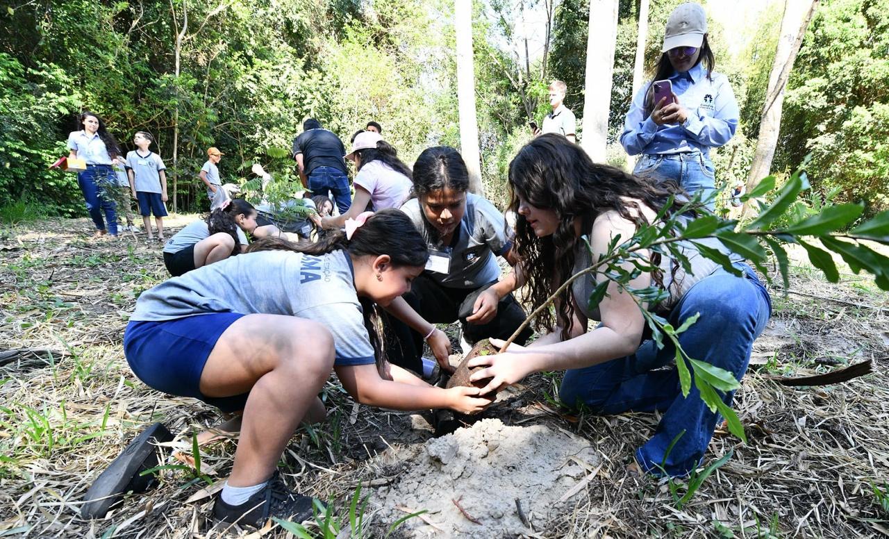 Para cada criança nascida, Umuarama plantará uma árvore!
