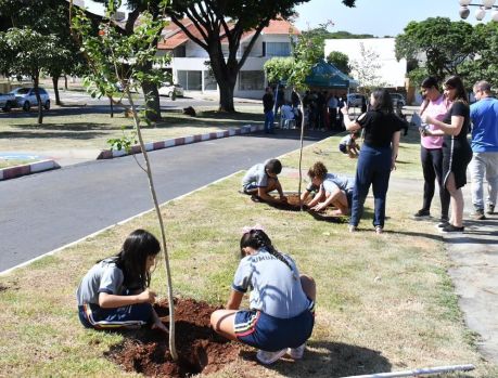 Com plantio de mudas, Umuarama lançou o Projeto Minha Árvore