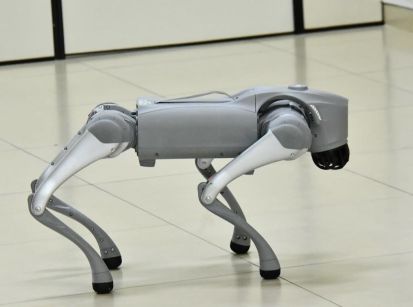 Technopark: ‘Cão-robô’ fortalece ensino e inovação tecnológica 