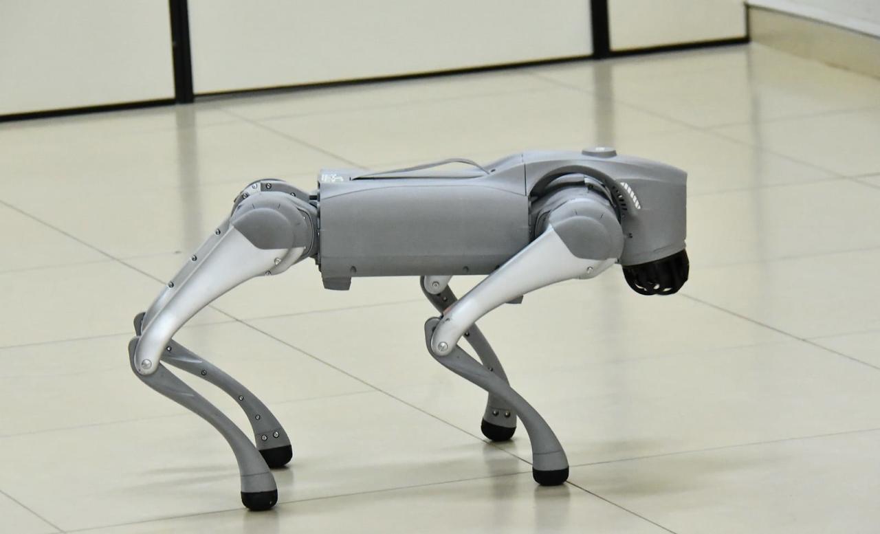 Technopark: ‘Cão-robô’ fortalece ensino e inovação tecnológica 