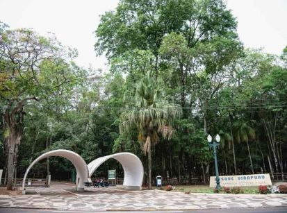 Hoje Umuarama é a 7ª cidade mais verde do Brasil!!!