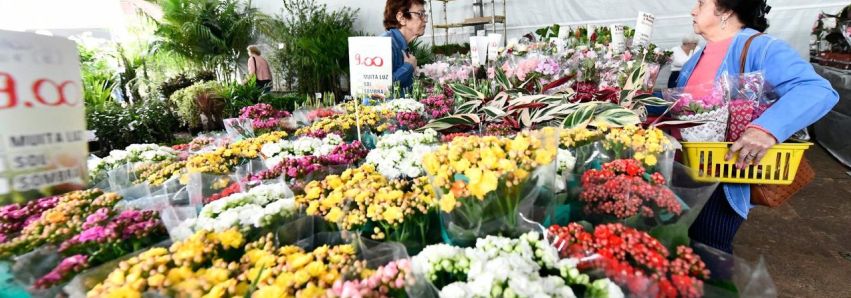 Atração especial: Sexta-feira começa a tradicional ExpoFlor!