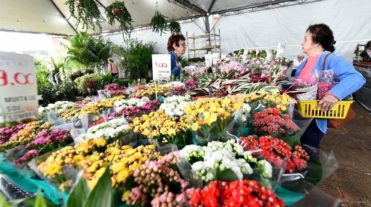 Atração especial: Sexta-feira começa a tradicional ExpoFlor!
