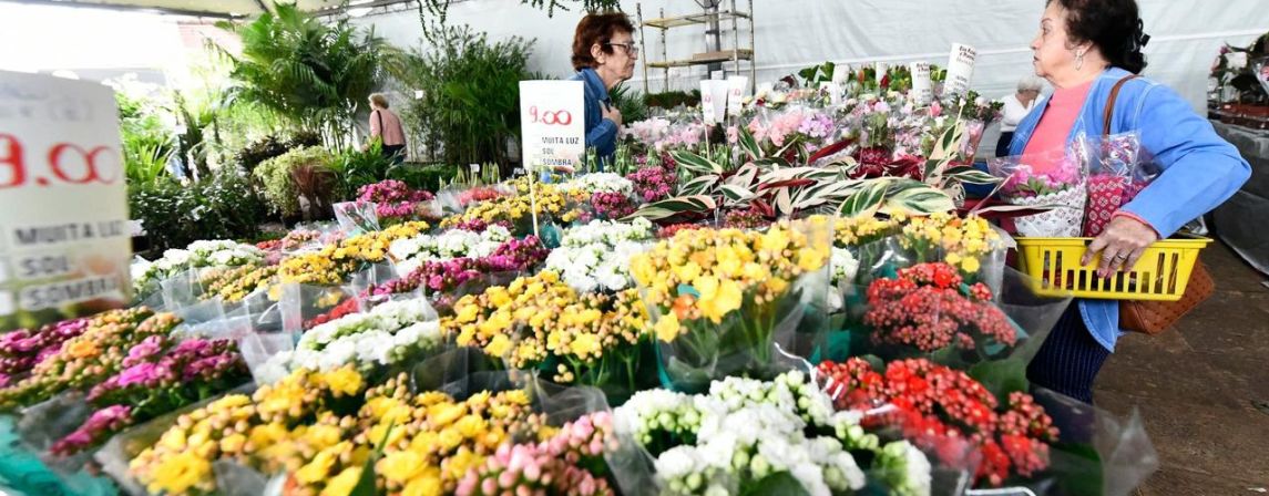 Atração especial: Sexta-feira começa a tradicional ExpoFlor!