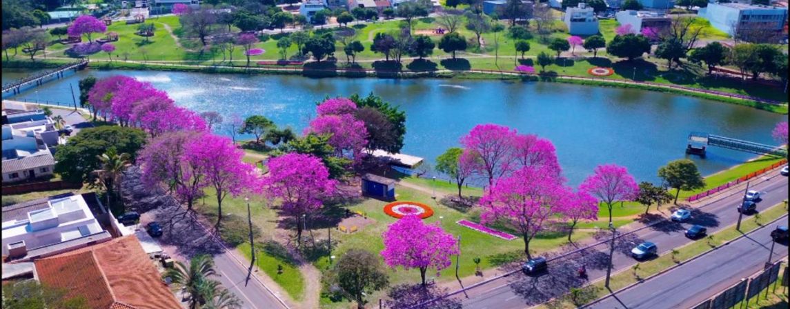 É só alegriaaa!!! Temporada dos ipês está colorindo Umuarama intensamente...