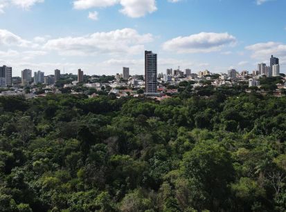 O melhor ar condicionado é o da Natureza! Preservem as árvores!!!