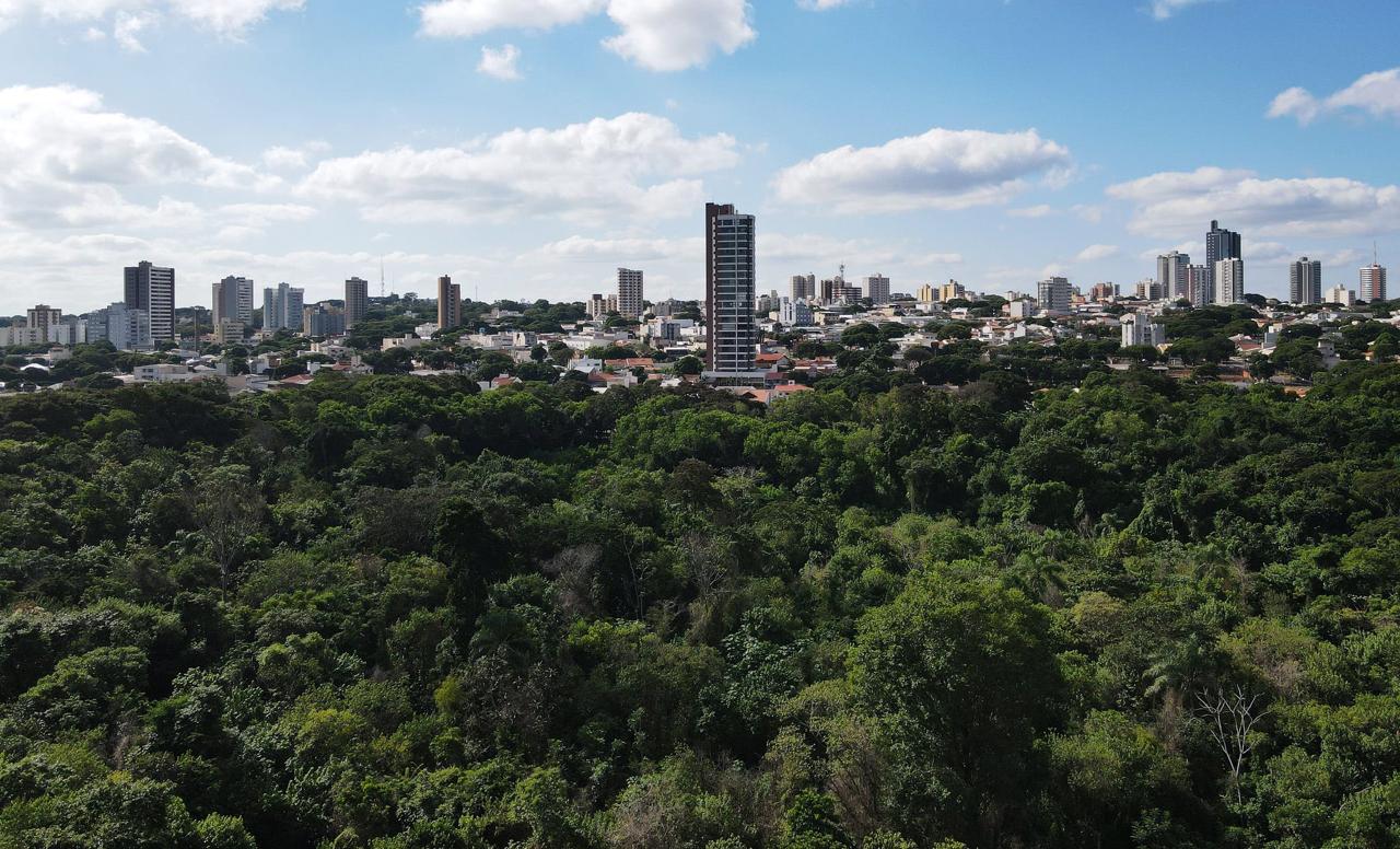 O melhor ar condicionado é o da Natureza! Preservem as árvores!!!