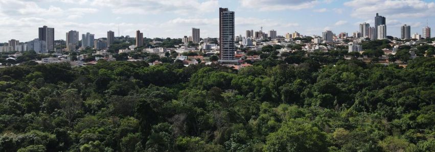 O melhor ar condicionado é o da Natureza! Preservem as árvores!!!