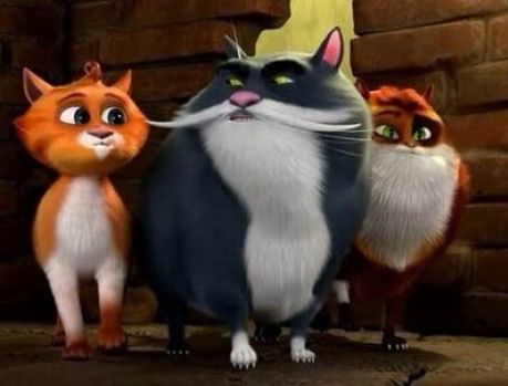 Gatos protagonizam grande filme que é uma aventura no Egito!