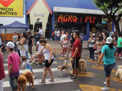 Um divertido passeio de domingo celebrando o amor aos animais!   