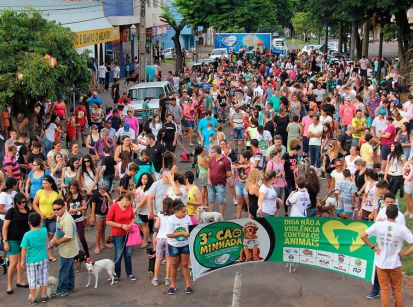 Domingo acontece em Umuarama a esperada Cãominhada Guri